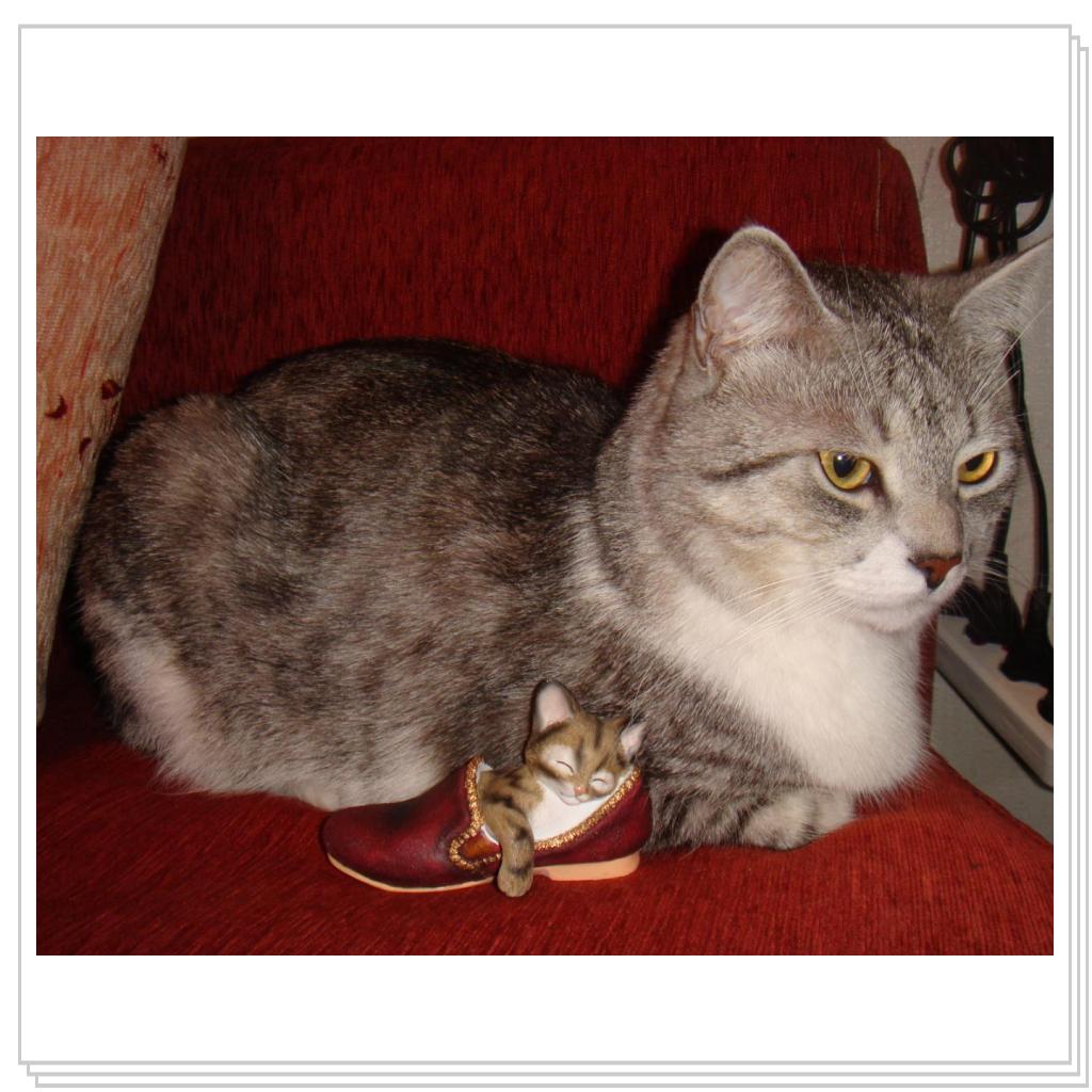 Мне бы живую подружку..