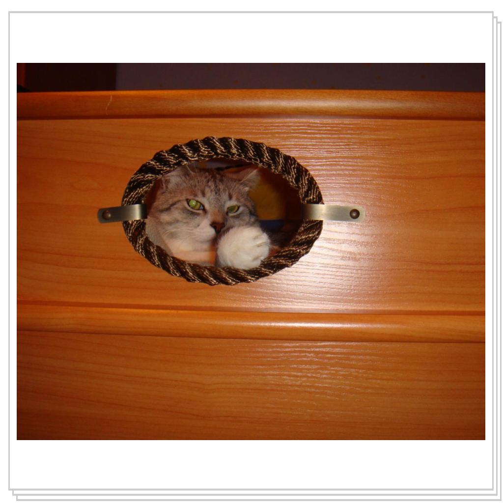 Меня никто не видит?