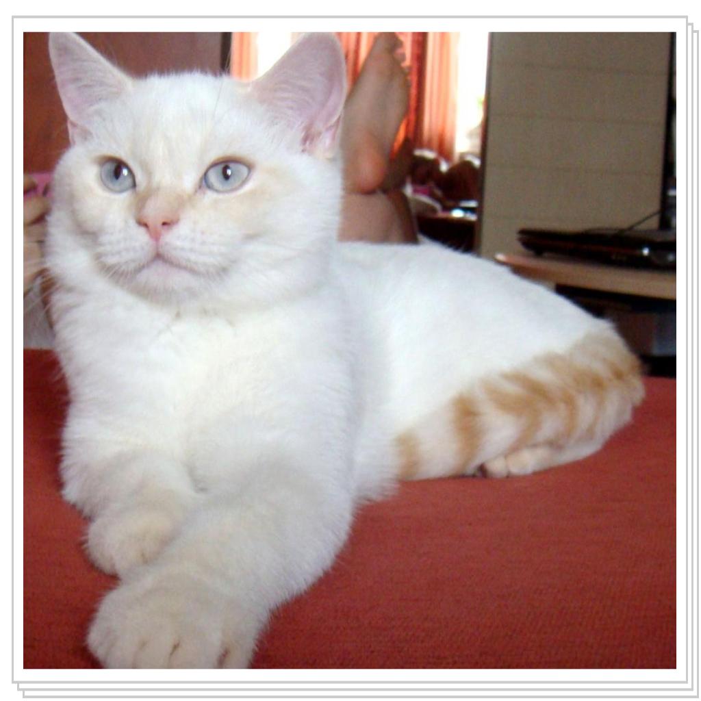 Фотомодель, не иначе))