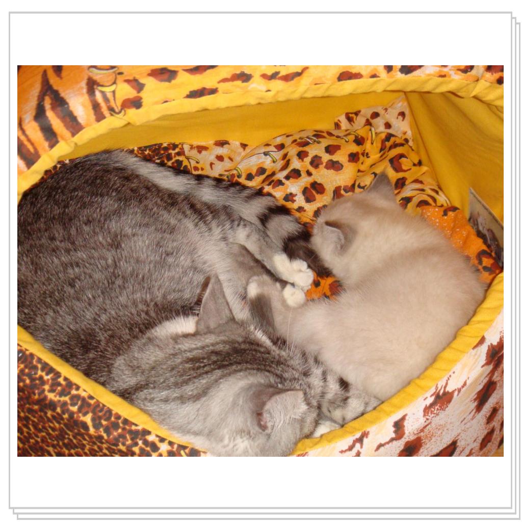 В тесноте, да не в обиде