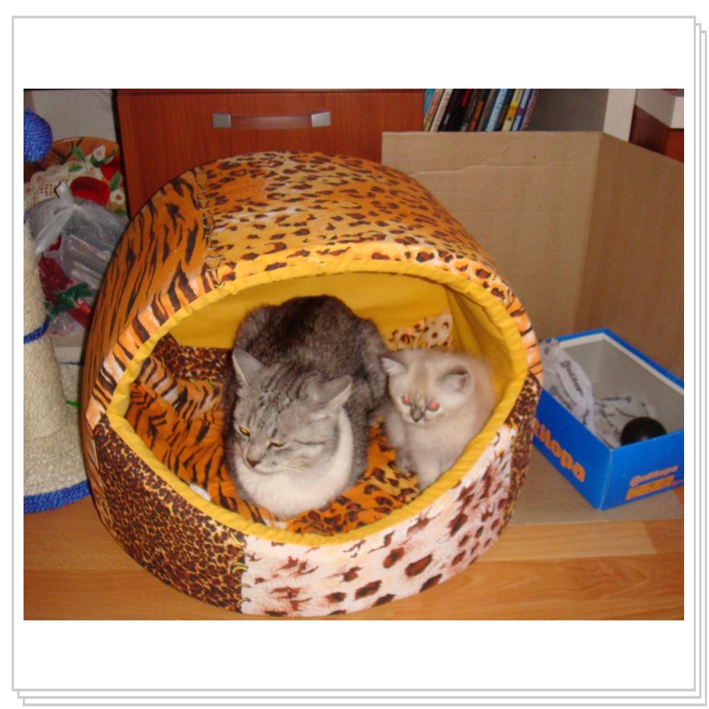 Как положено друзьям, все мы делим пополам)))