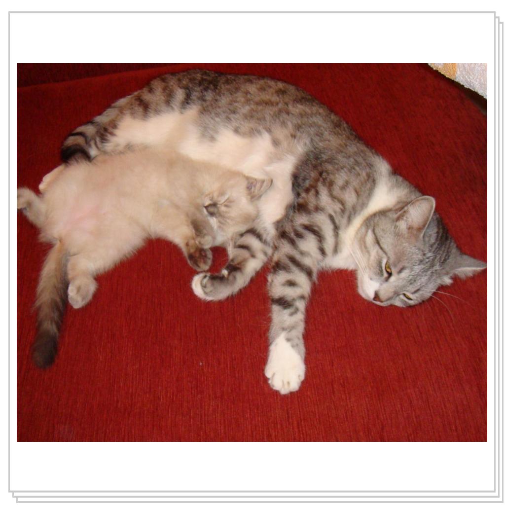 Вот так все начиналось)))