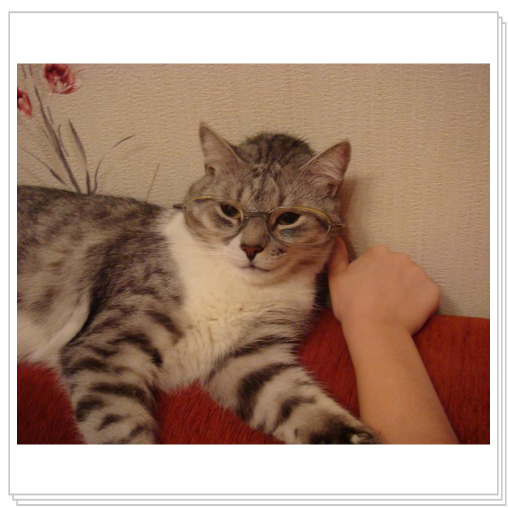 Ну-ка, ну-ка, нанотехнологии, говорите...