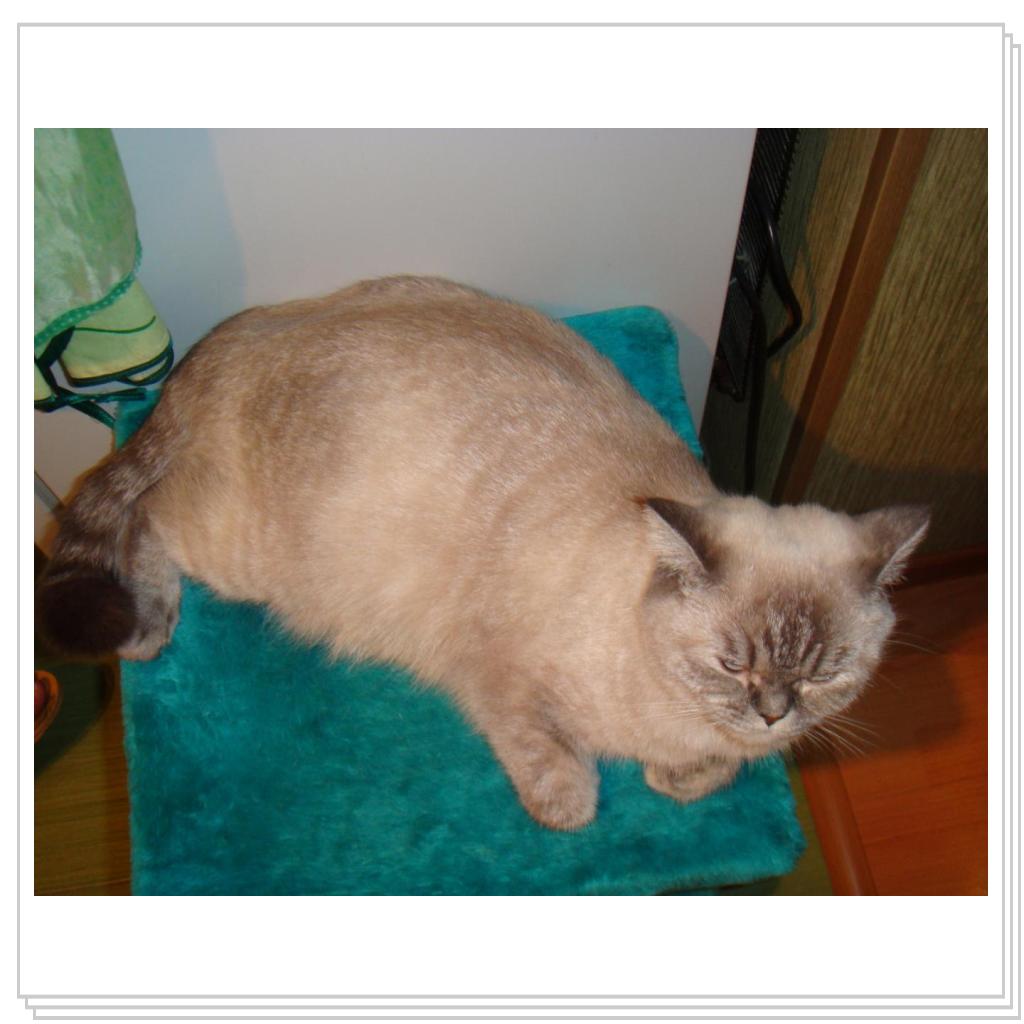 Мотя ждет деток