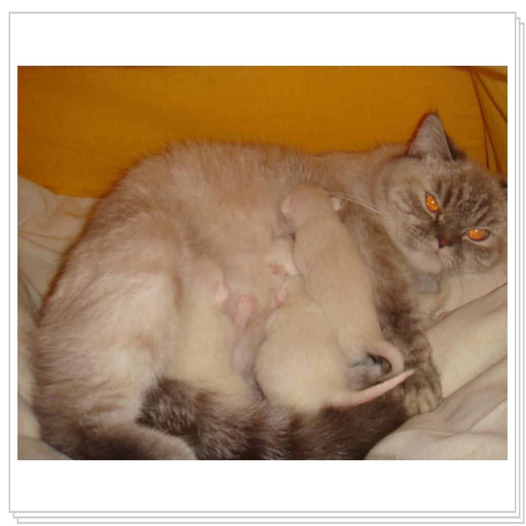 Умильно и трогательно