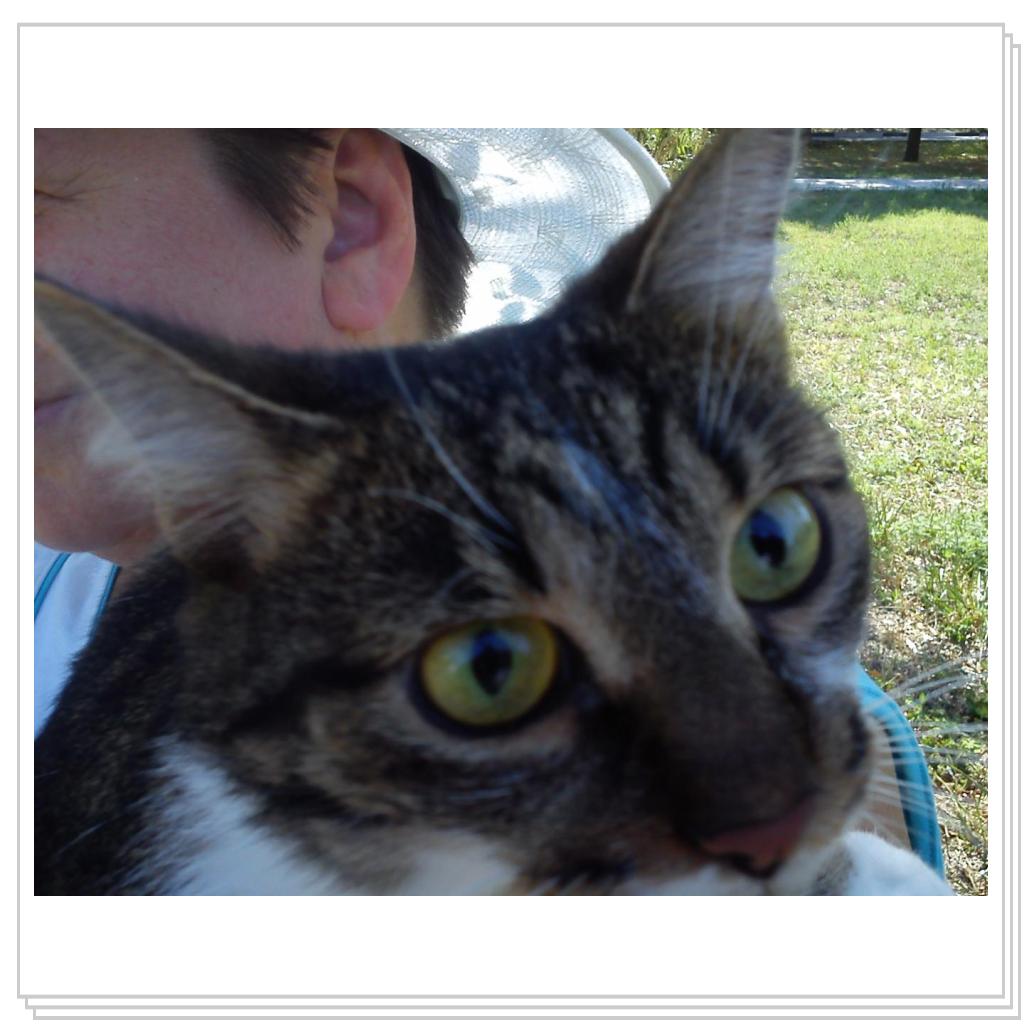 малышка Мила