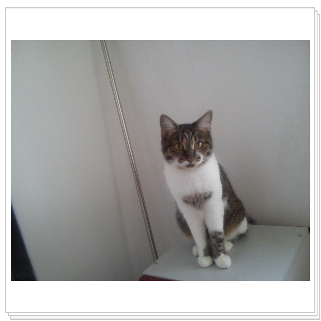 малышка Мила