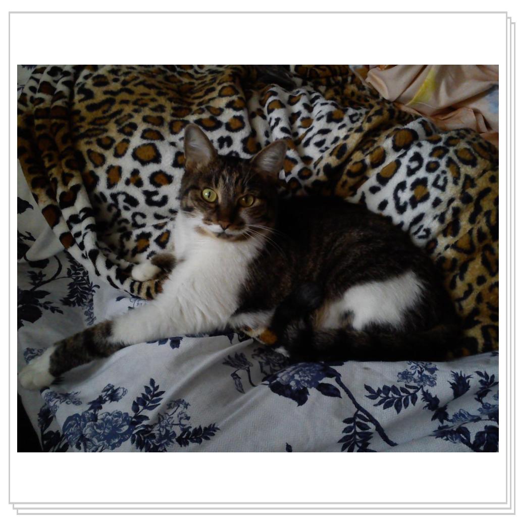 малышка Мила