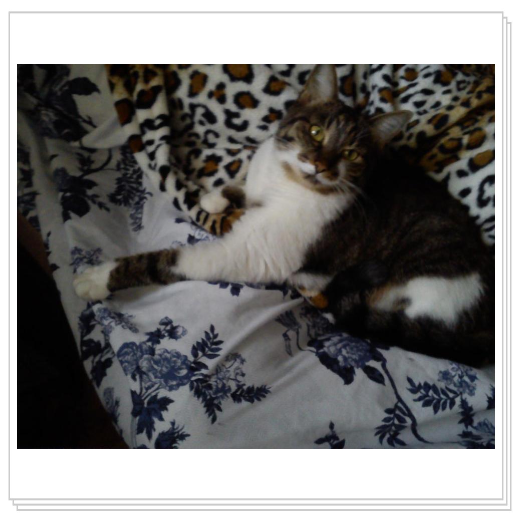 малышка Мила