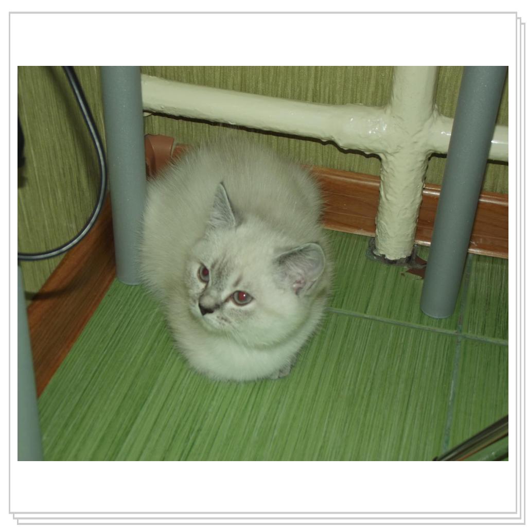 Умка- дочка Моти