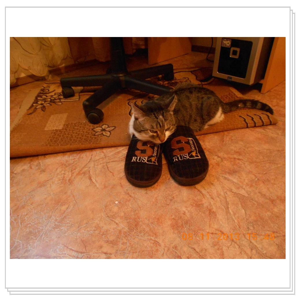 Барсик в тапочках