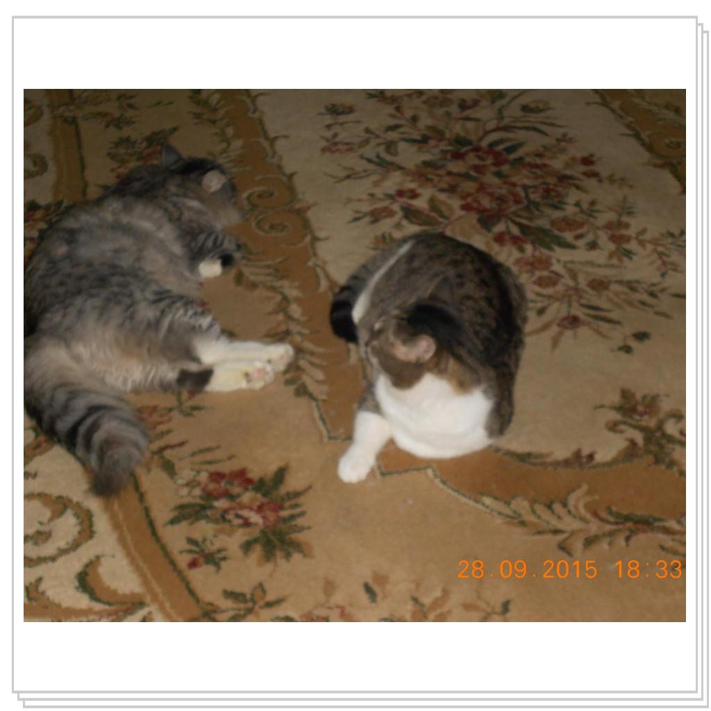 Тишка вот он