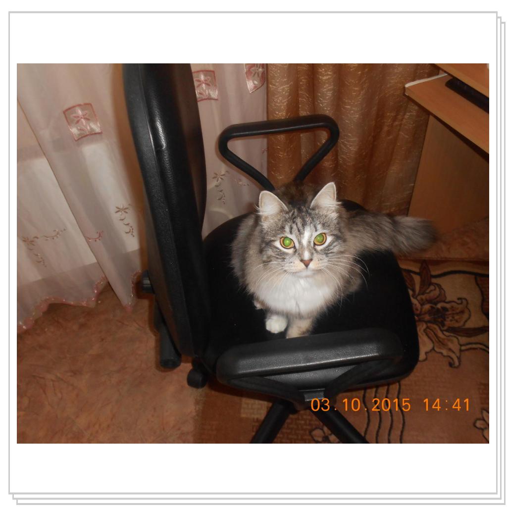 Тишка вот он