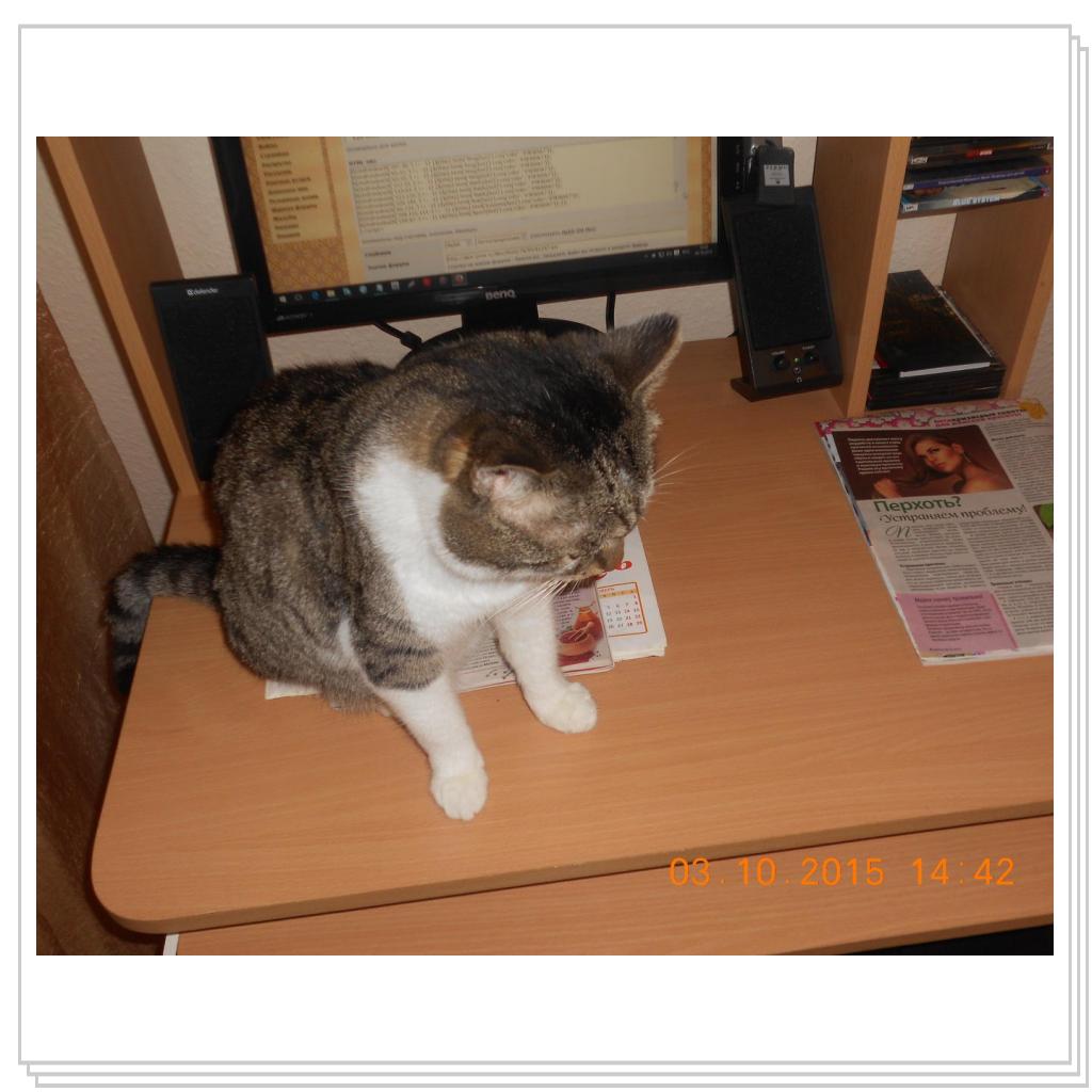 Тишка вот он