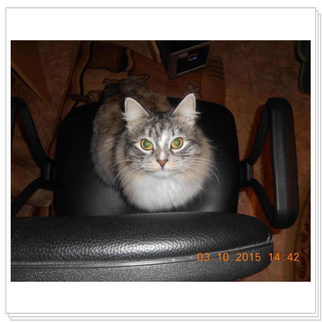 Тишка вот он