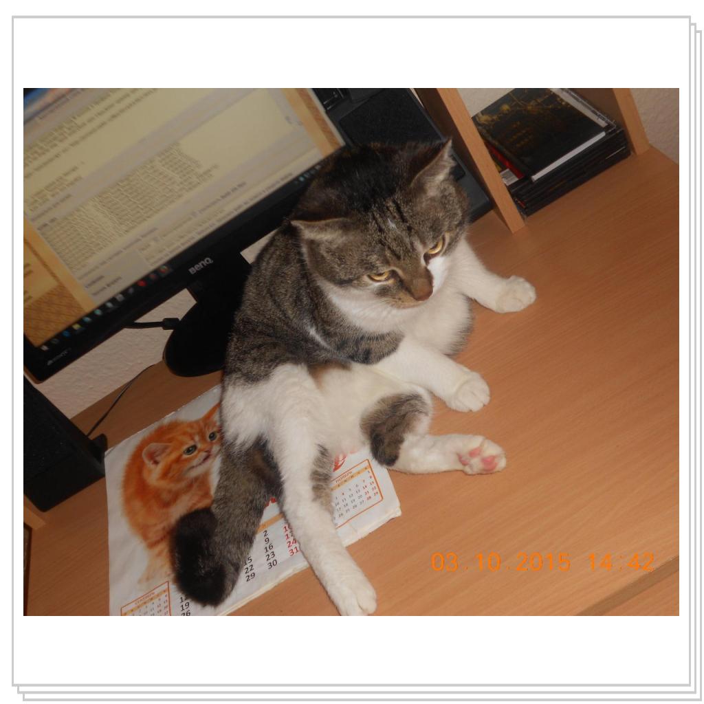 Тишка вот он