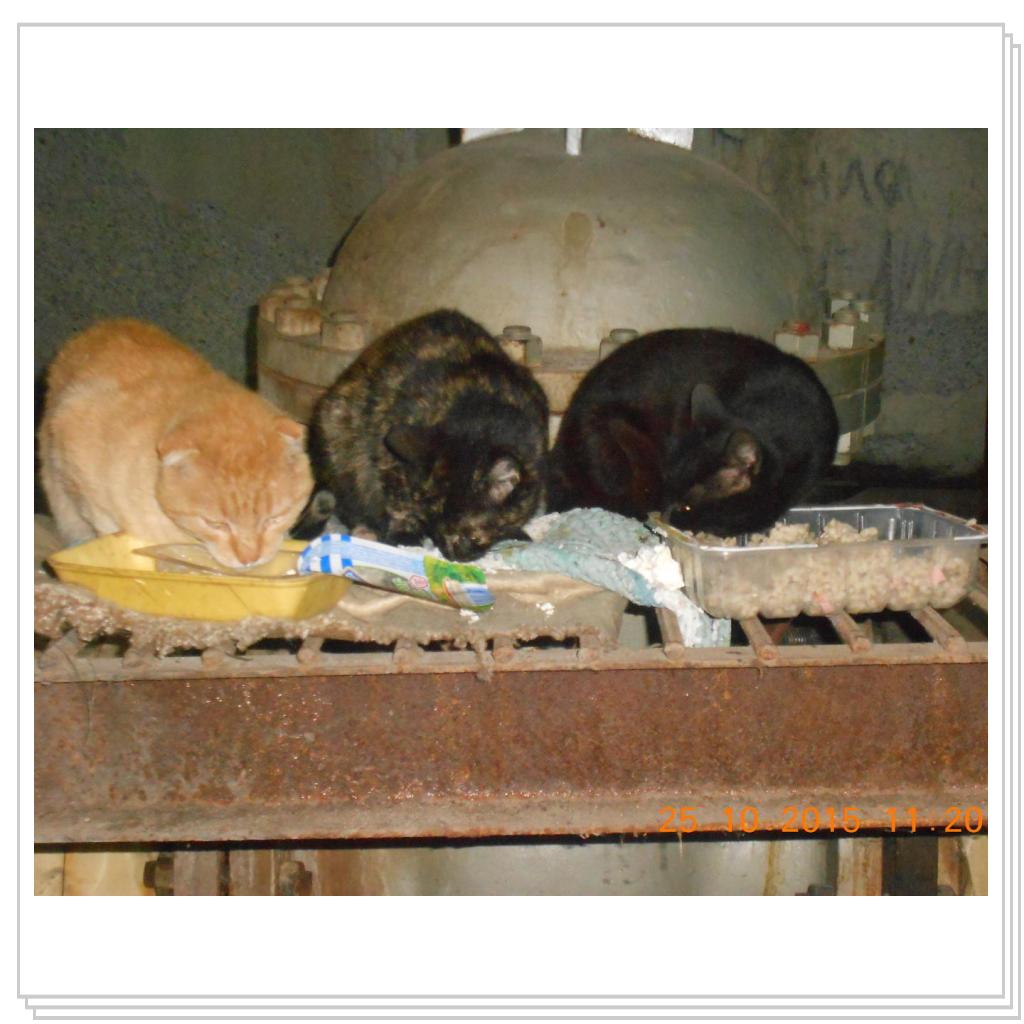 С улицы домой