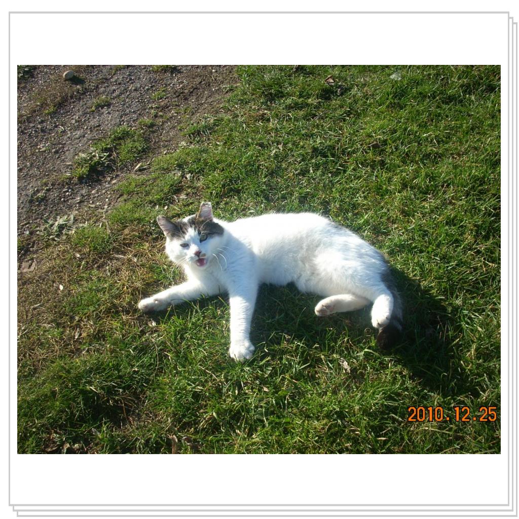 Не меша-а-ать!!!