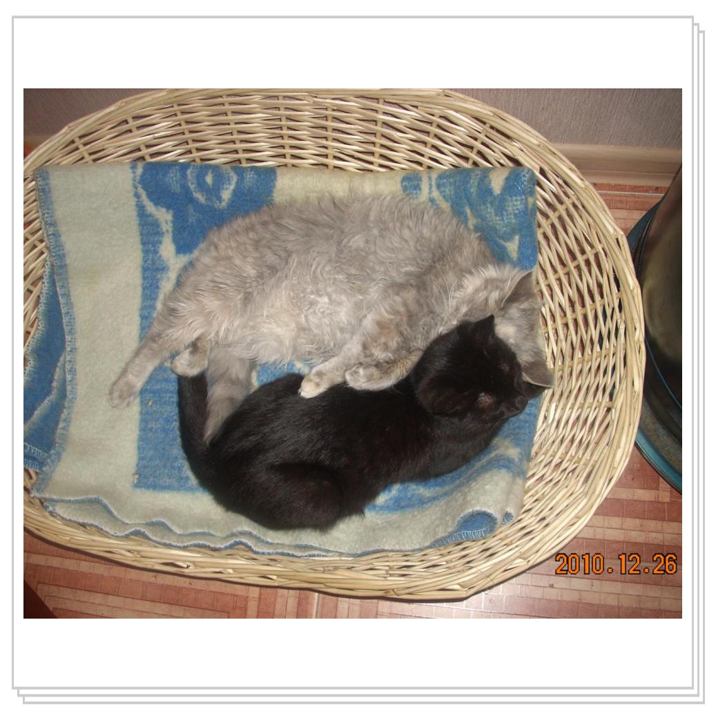 Такими они стали.