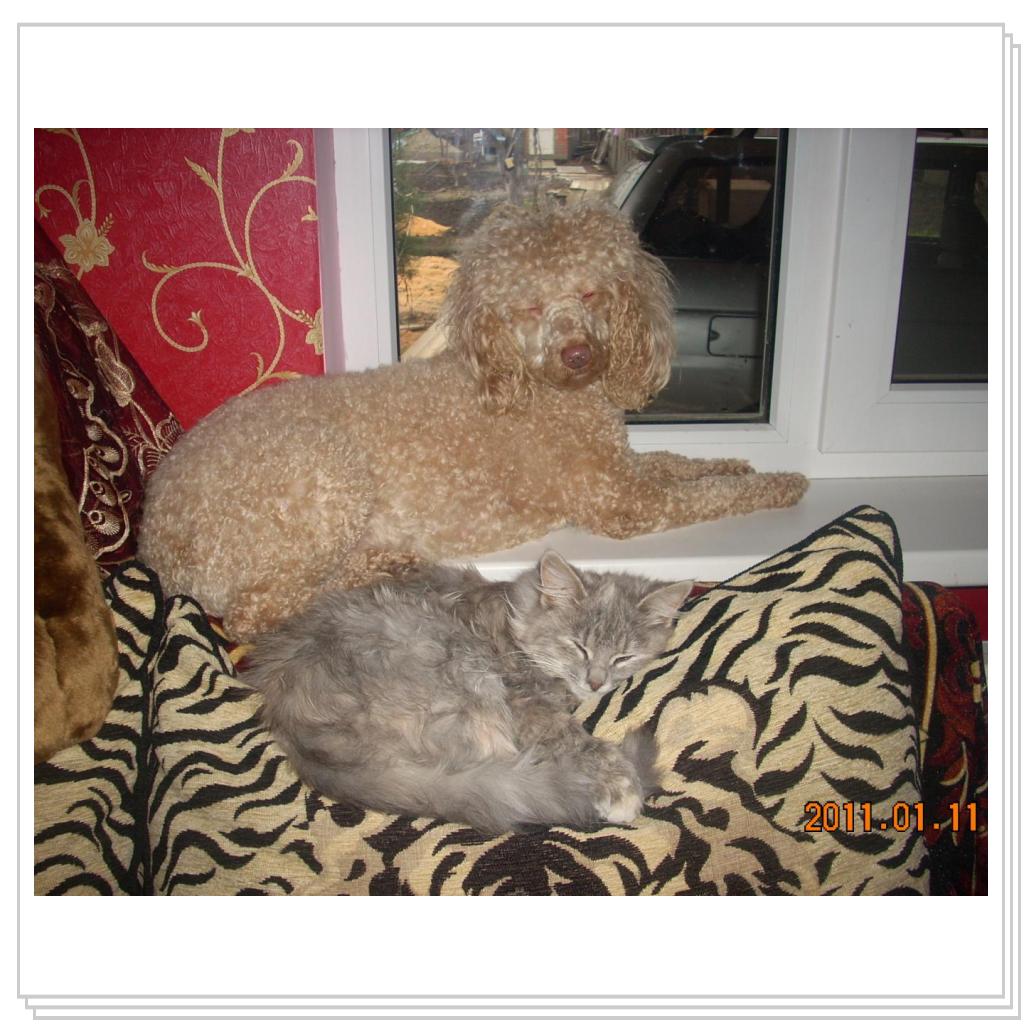 Подружки дремлют...