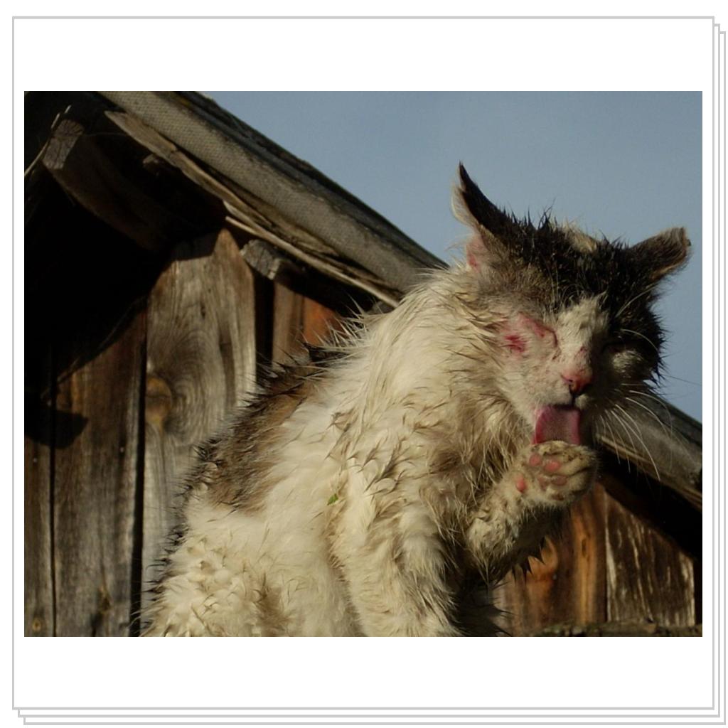 Март удался...