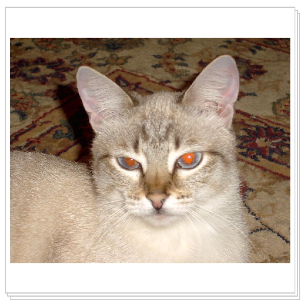 Дынча-красавица