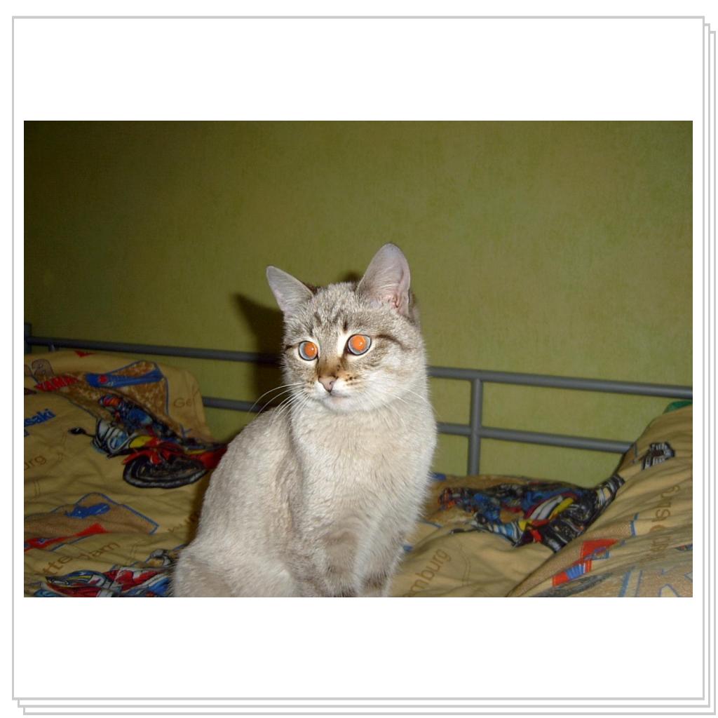 Вот такая я красивая!