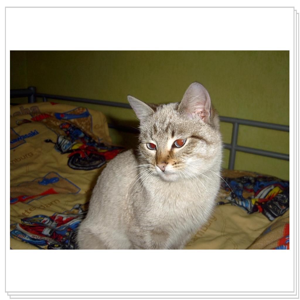 Дынча задумалась