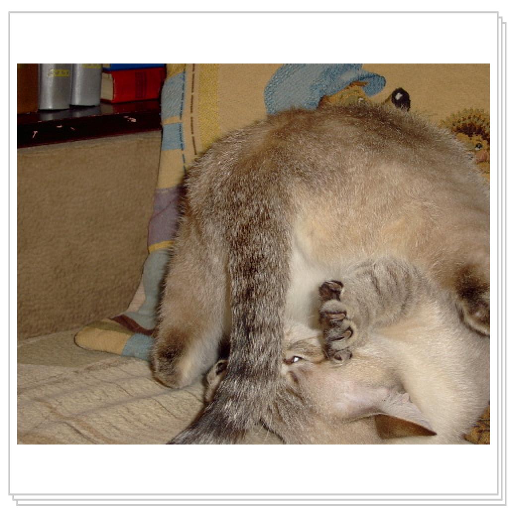 А вам слабо?