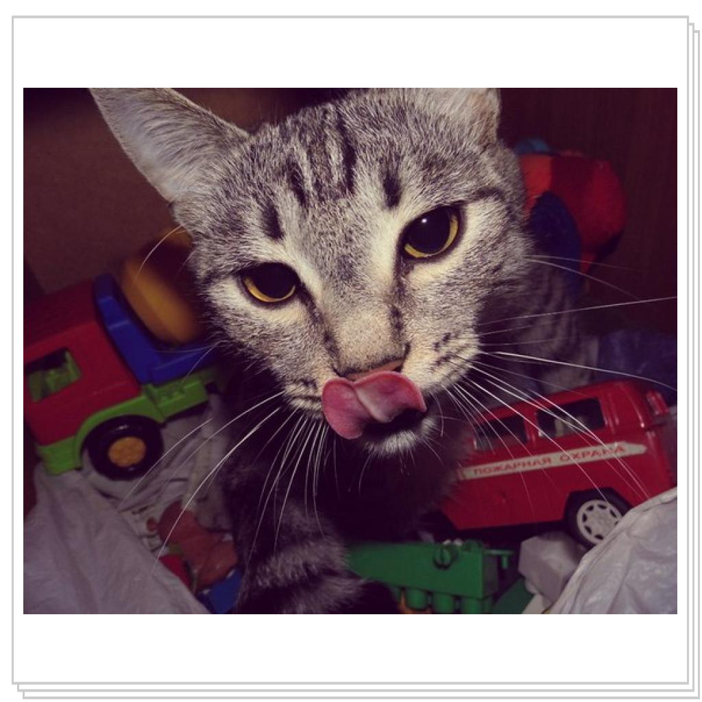 моя Соничка