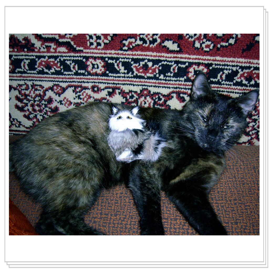 Мои питомцы