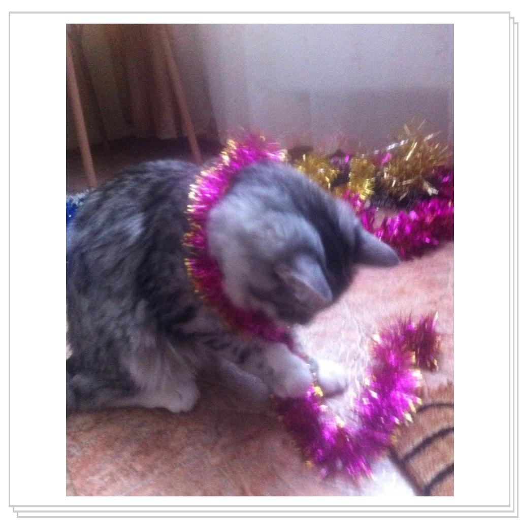 С Новым Годом мяууу