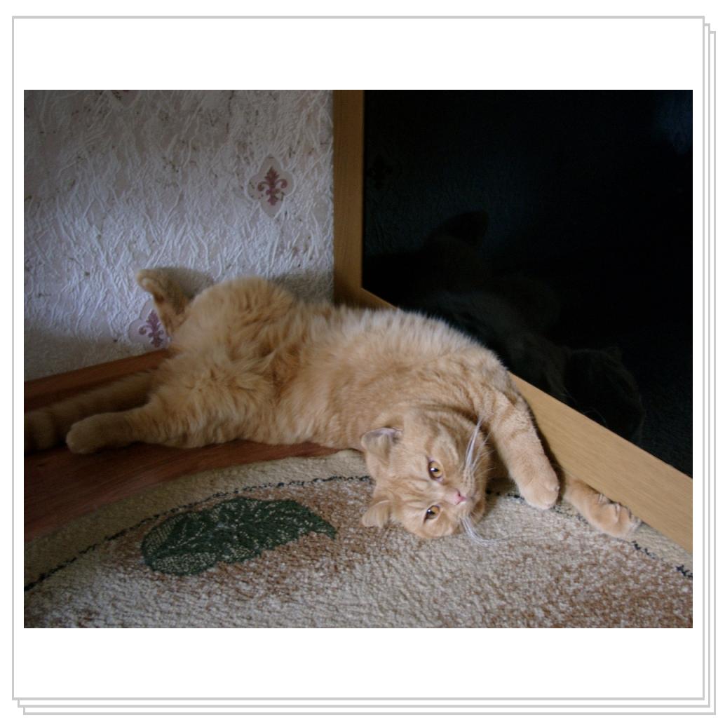 Рыжий балдеет