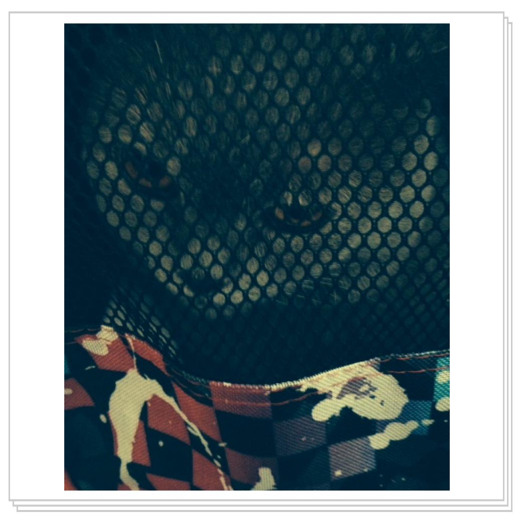 Глаша в переноске)