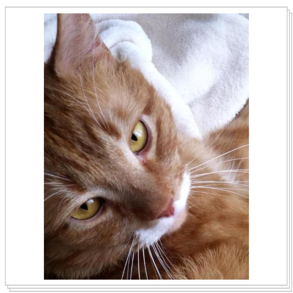 Рыжевский -кокетничает