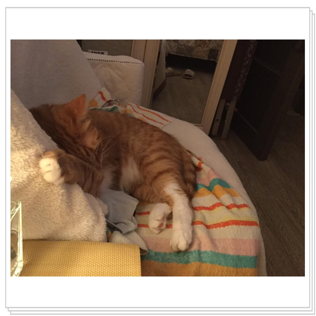 спать-дело хорошее!