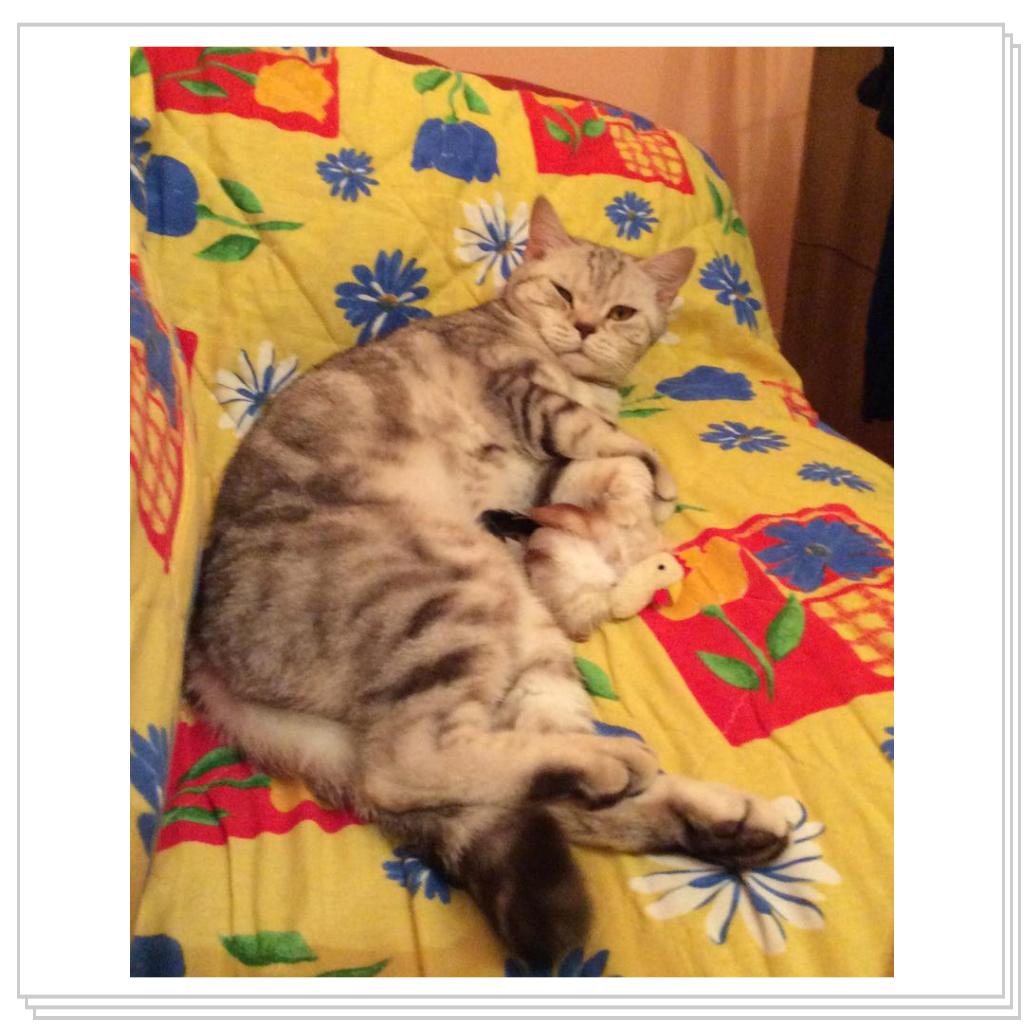 Наша Юлисса