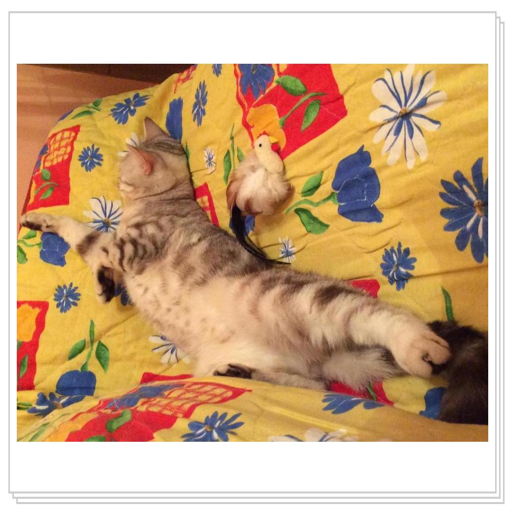 Наша Юлисса