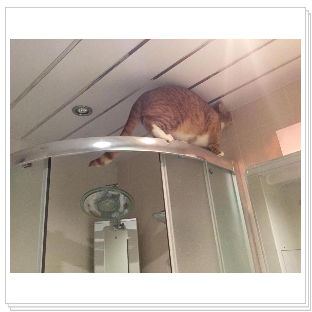 Поручик Рыжевский