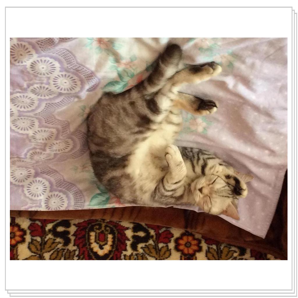 Наша Юлисса