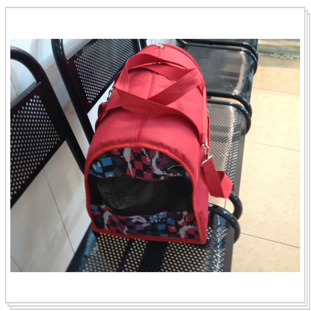 Ходили с Глашей в ветклинику