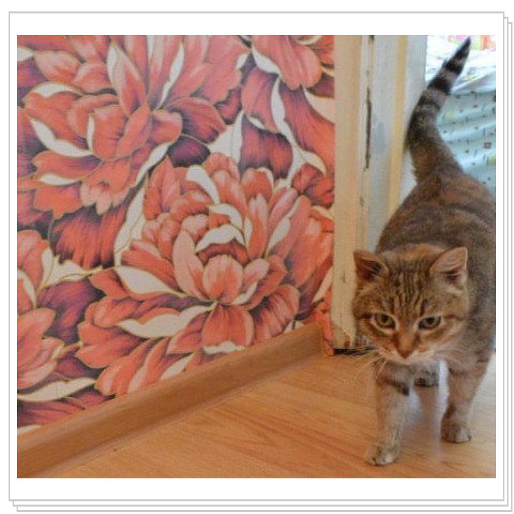 С улицы домой