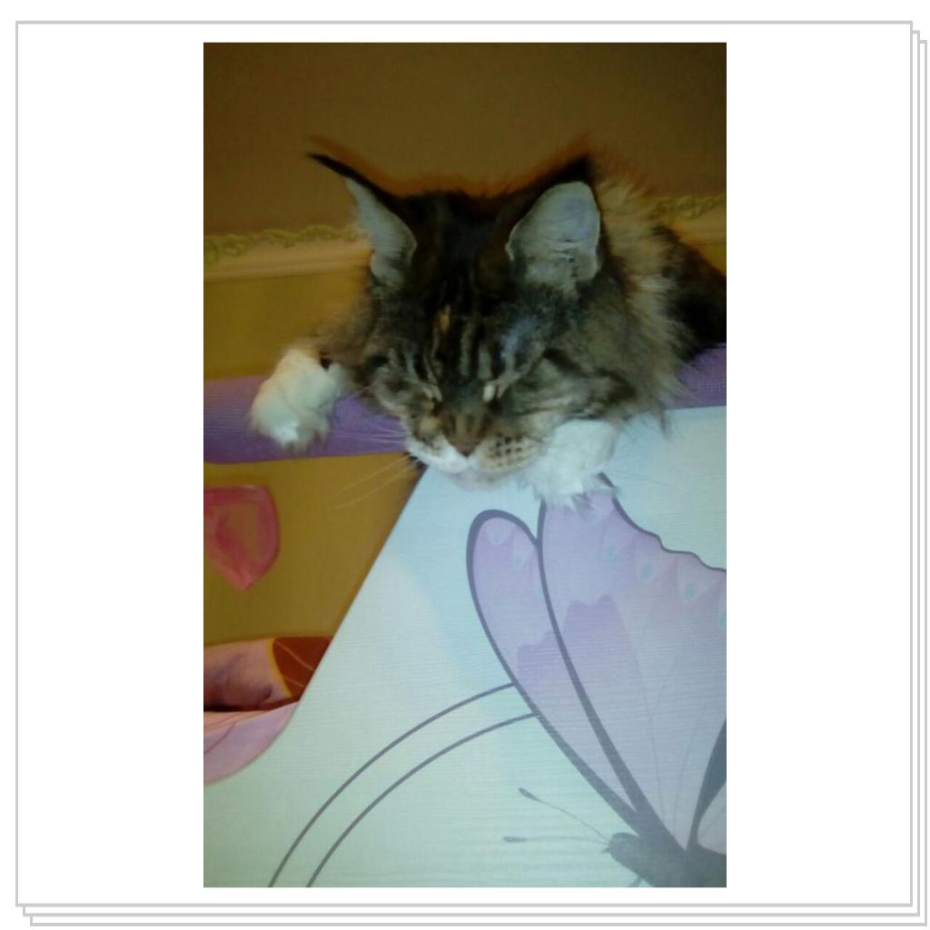 спят усталые игрушки