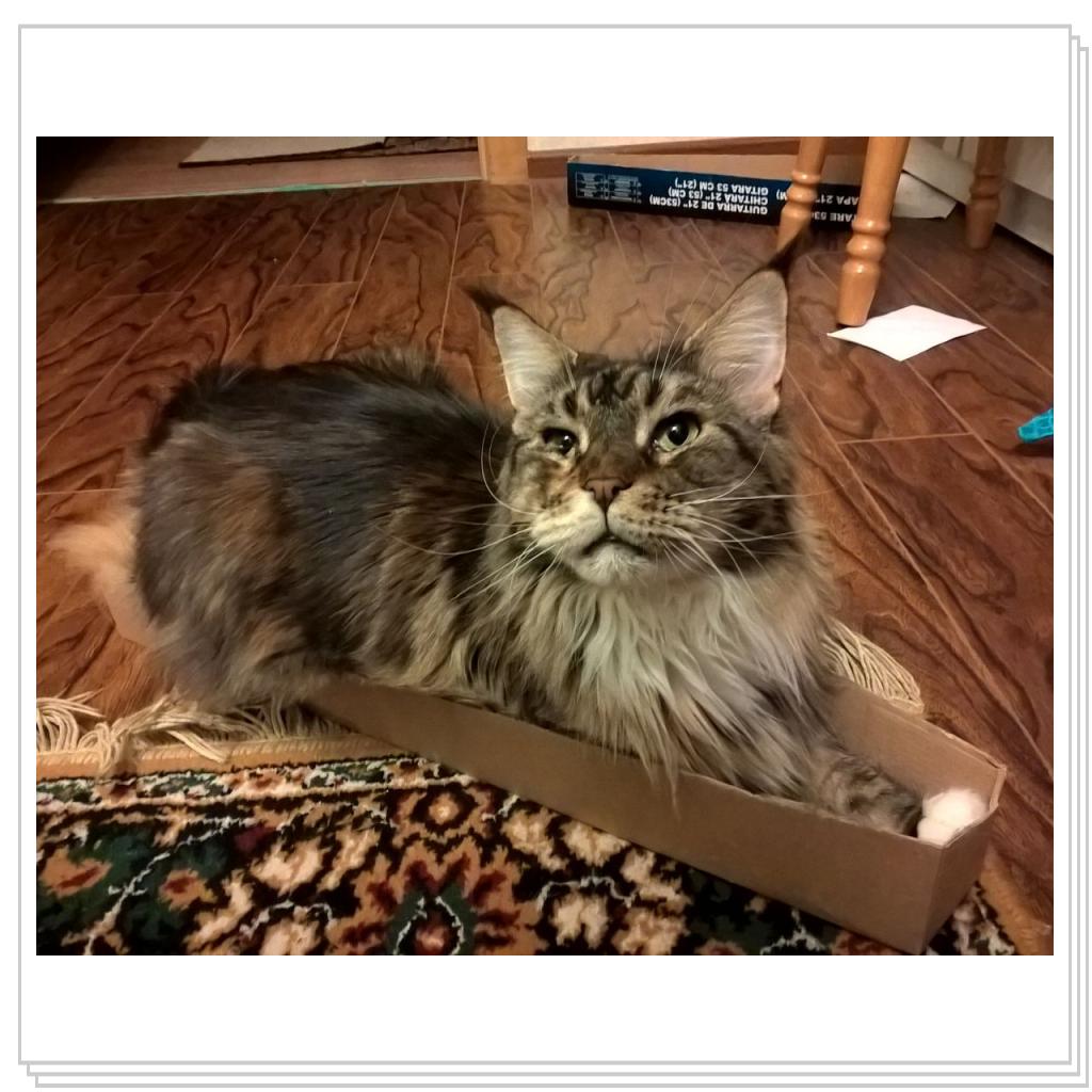 помещаюсь во все узкие места