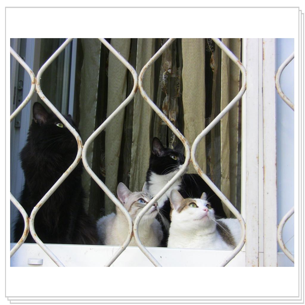 Сидим за решеткой)))