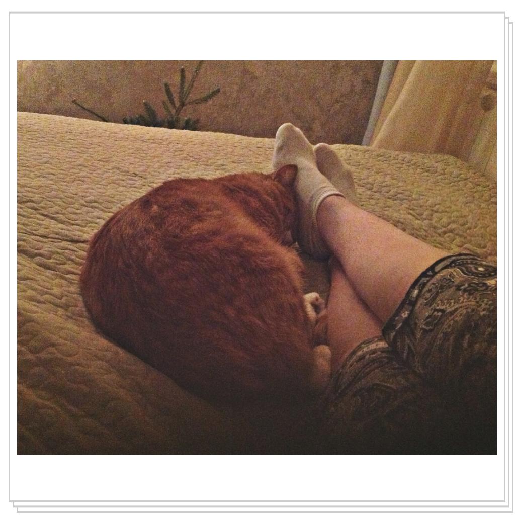 Хорошо рядом!