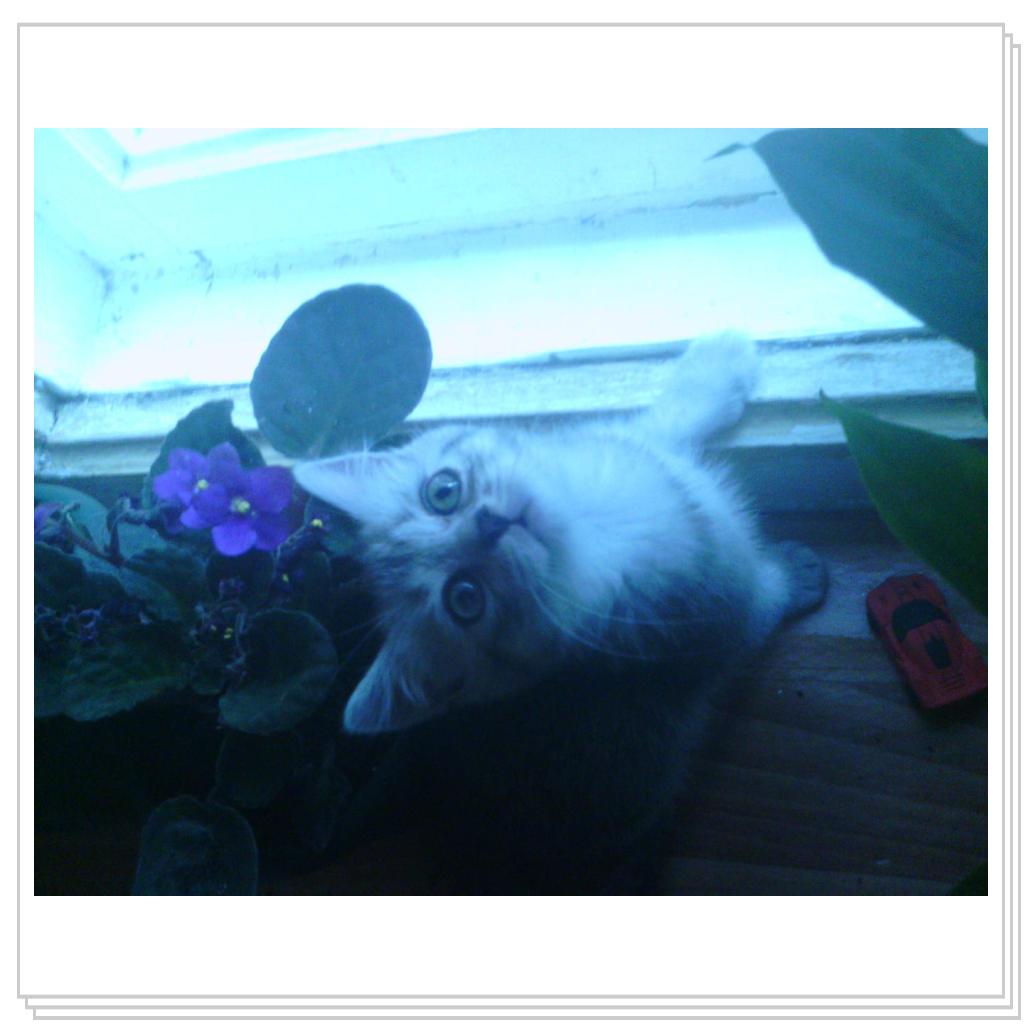 Снежана маленькая