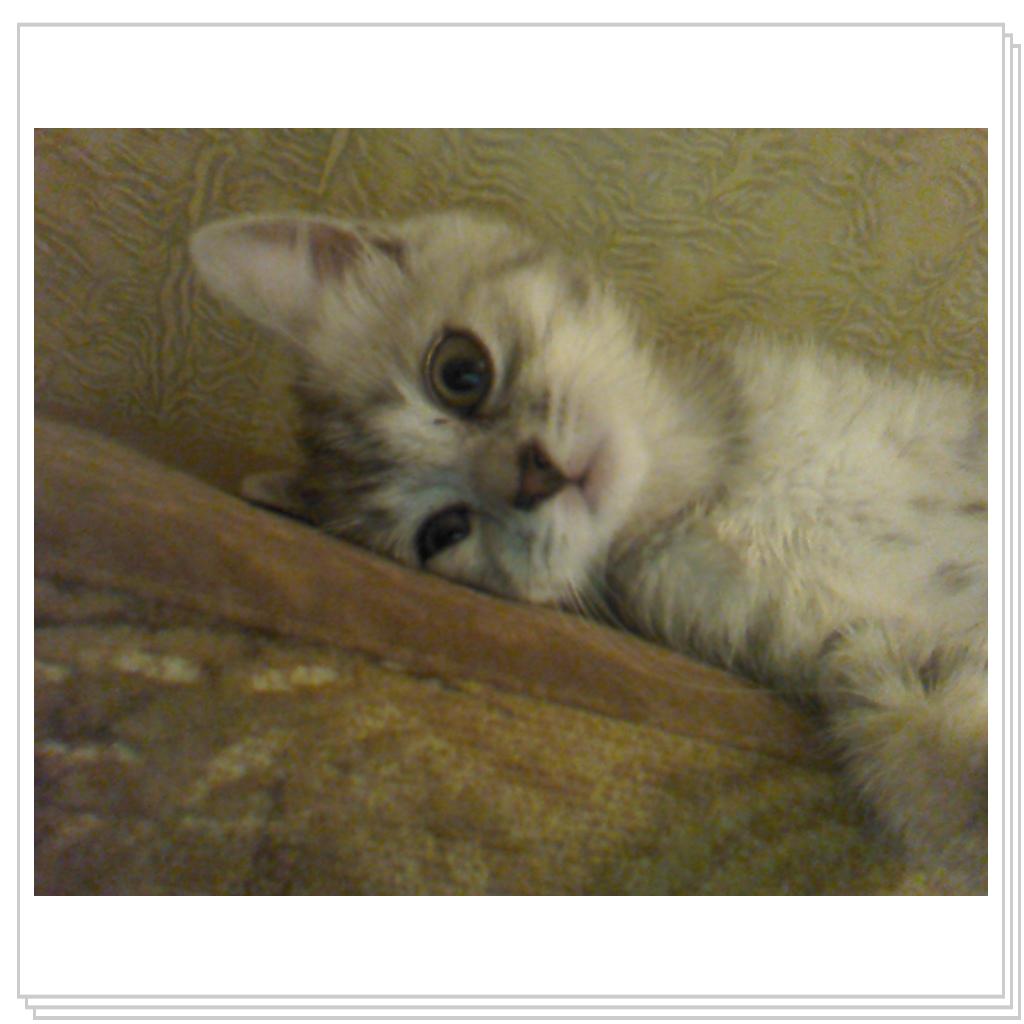 Снежана маленькая