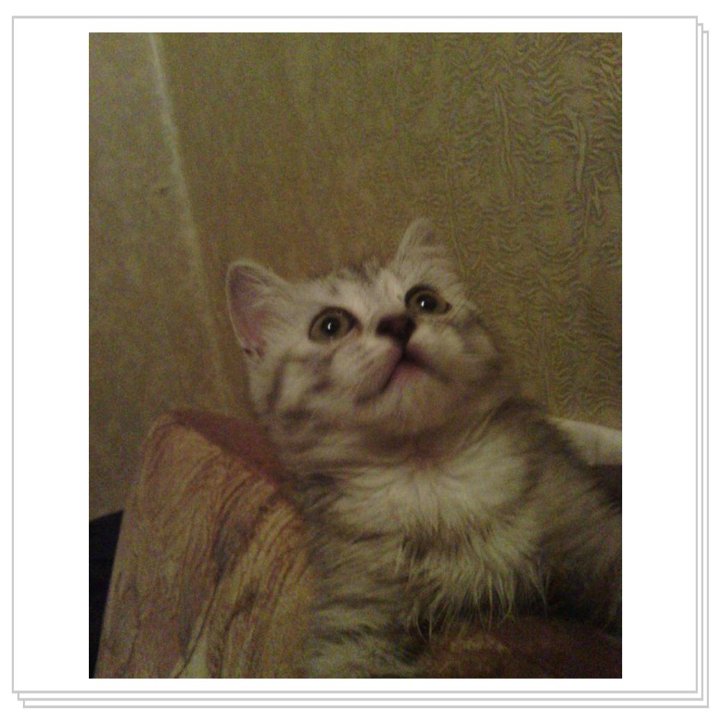 Снежана маленькая