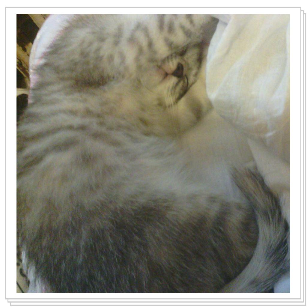 Снежана-малышка спит